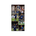 Inter Milan Vertical 1:2 Wall Art