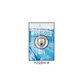 European Football Club Crest Wall Art