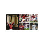 David Beckham Football Icon Wall Art